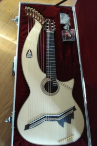 Doolin 21-string Harp guitar