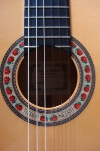 Tierra Negra Model Flamenco Guitar Closeup
