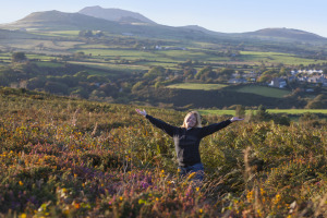 Wales frolicking in heather