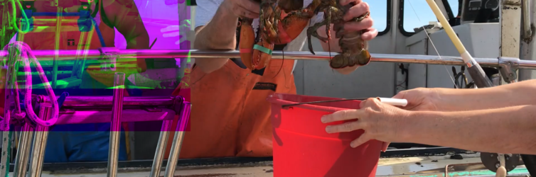 Lobster-handoff-1