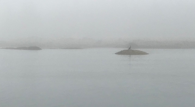 Pell-isl-fog-and-cormerrant