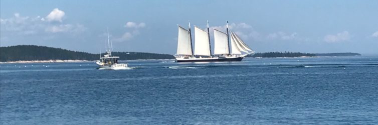 Two-ships-passing-3-masted-schooner