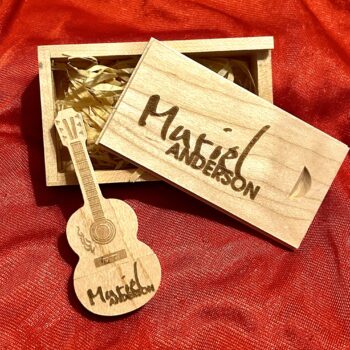 Guitar box set: 9 albums, 0ver 100 tunes USB