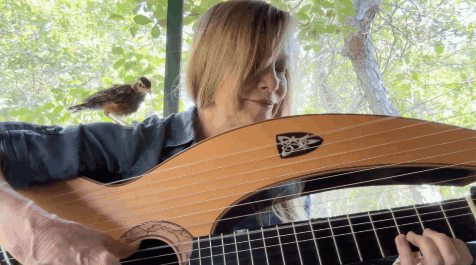 Robin Song video released Lucky on shoulder HG