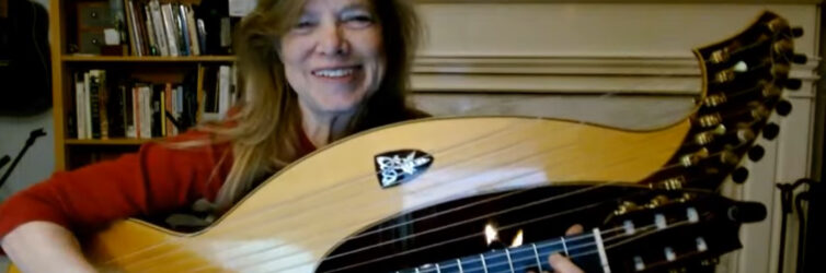 Harp guitar fireplace red shirt