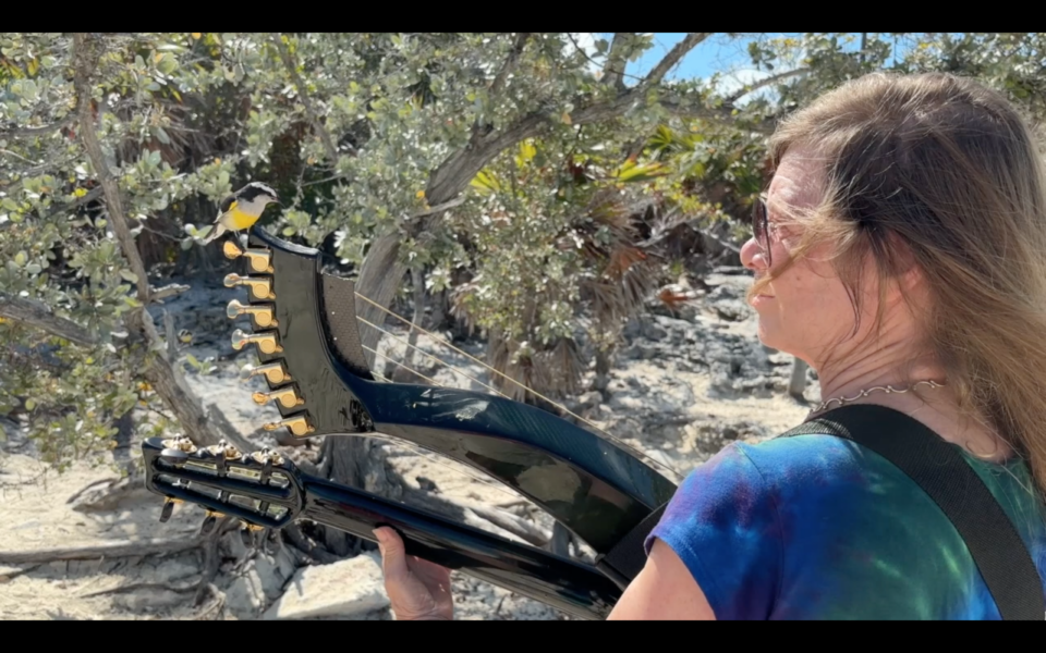 Bird on HG Bahamas 2026