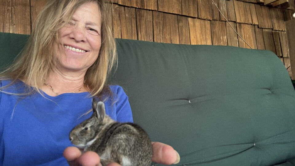 rabbit & muriel