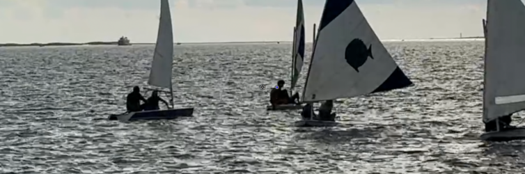 Regatta photo 2026